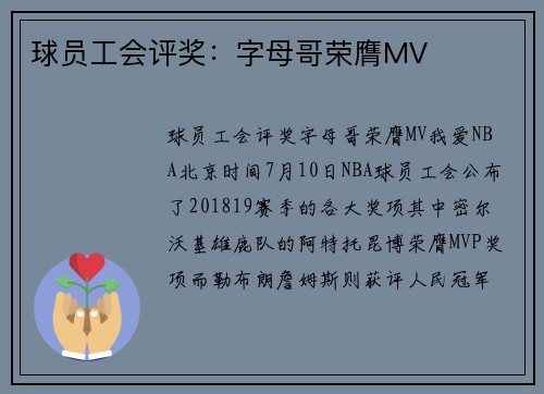 球员工会评奖：字母哥荣膺MV
