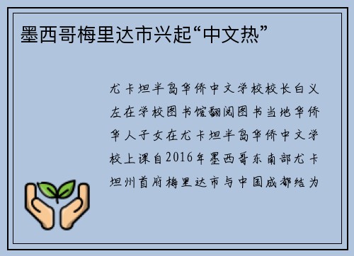墨西哥梅里达市兴起“中文热”